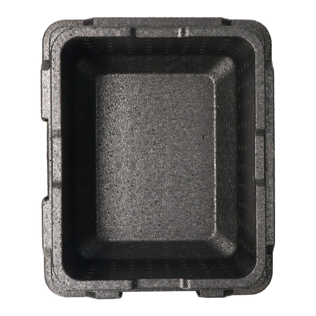 Thermo Future Box
